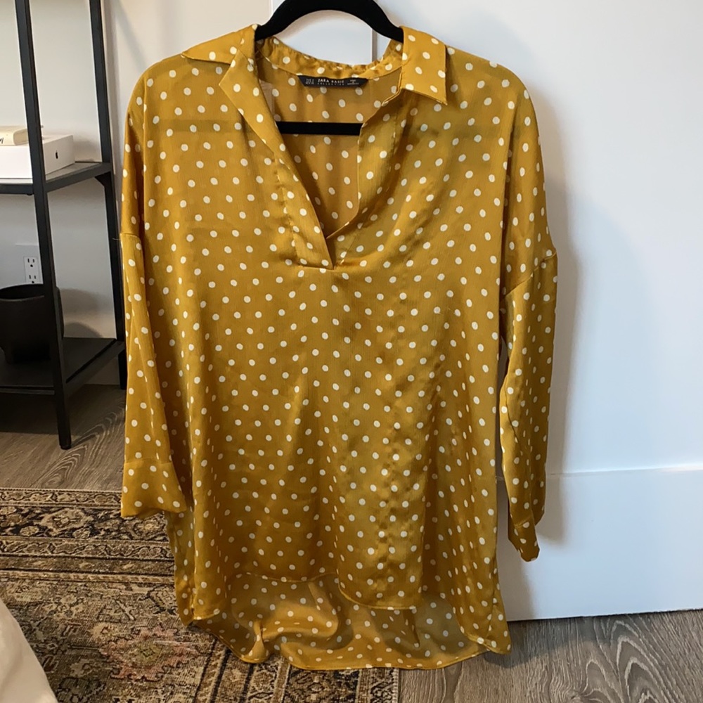 Zara Polka Dot Blouse